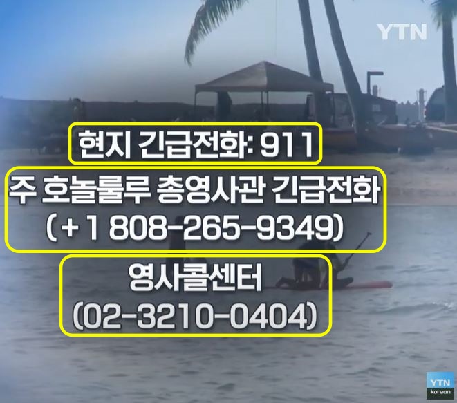 YTN 하와이 안전여행 정보 (2025.02.10)